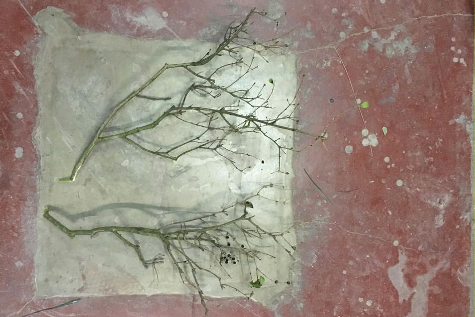 récupération de branches pour créer les arbres récupération de branches pour créer les arbres